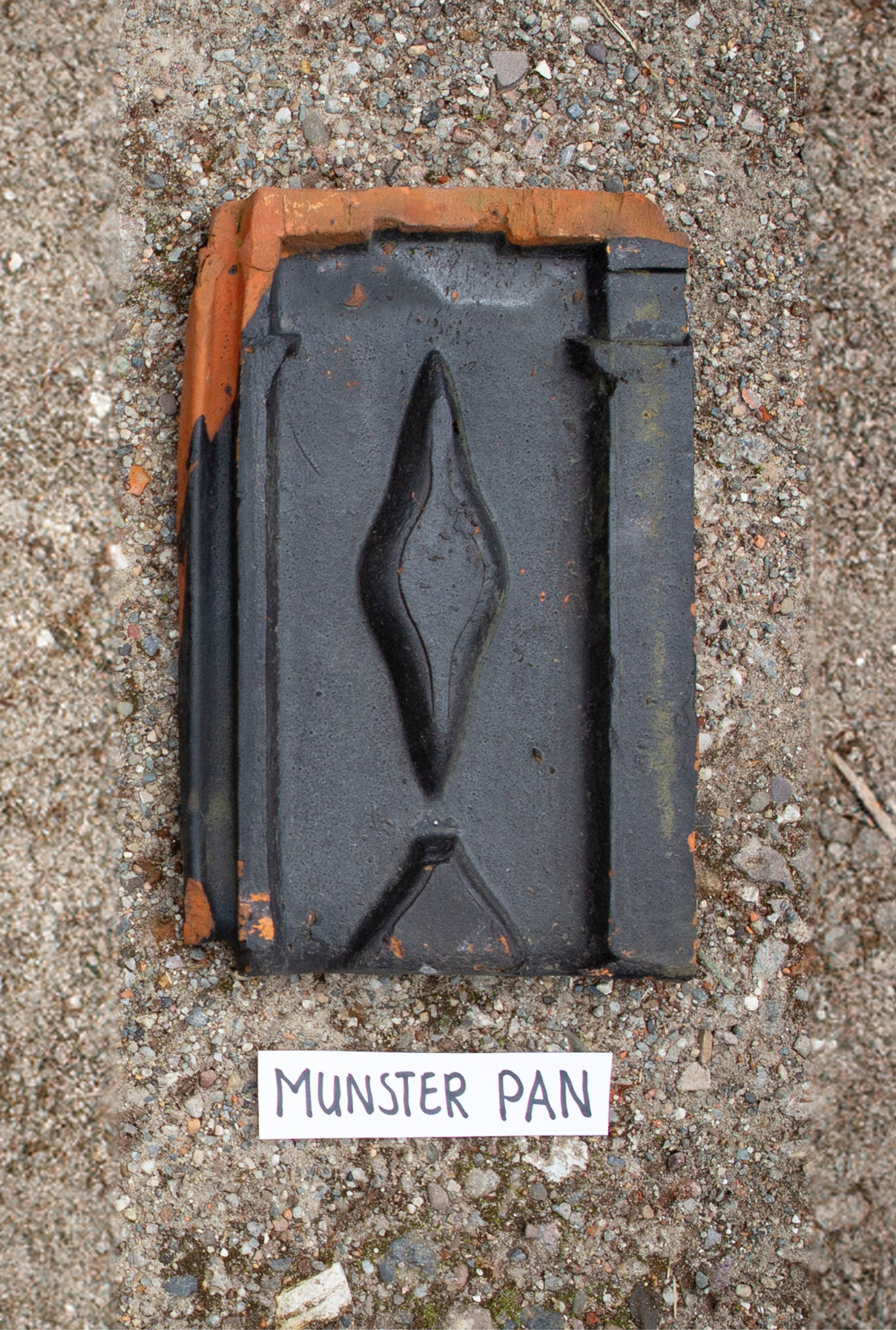 Munsterpan Ruitjespan dakpannen Herzieggel dakpan Munsterpan Ruitjespan dakpannen Herzieggel dakpan