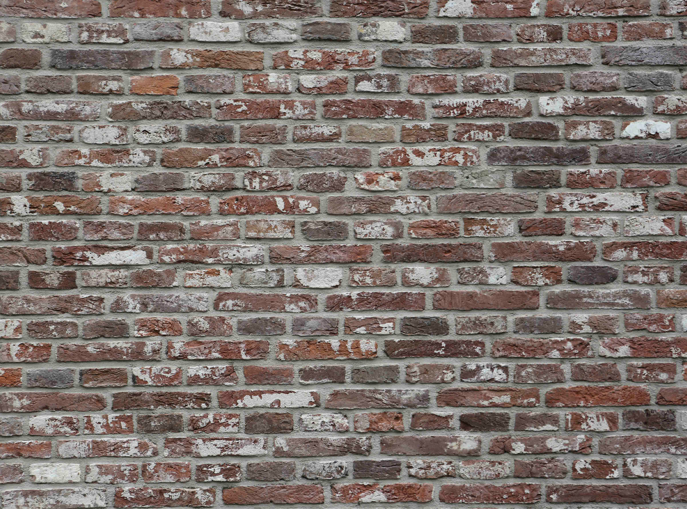 Nieuwbouw oudebouwmaterialen gebikte metselstenen vechtformaat vechtstenen Nieuwbouw oudebouwmaterialen gebikte metselstenen vechtformaat vechtstenen