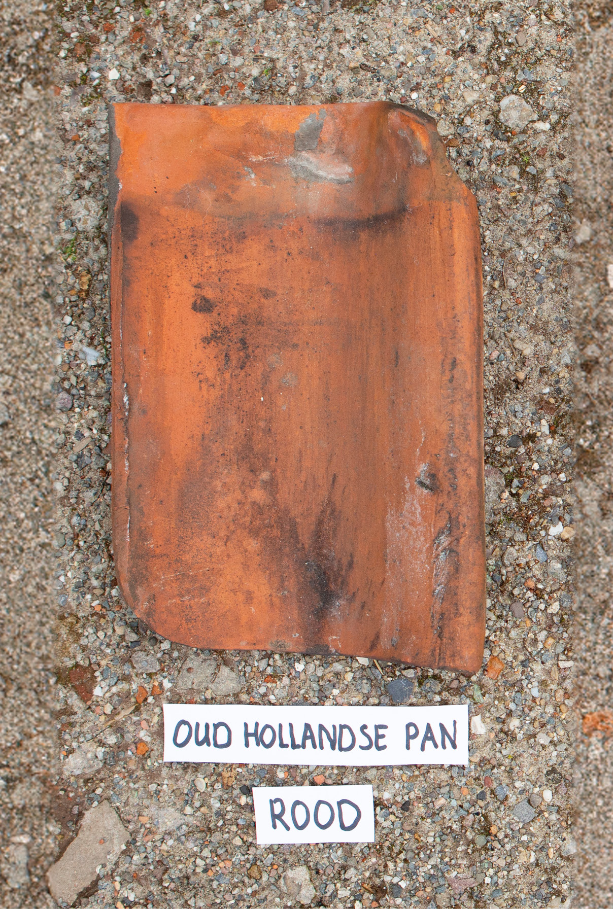 Oud Hollandse rode dakpannen dakpan oudebouwmaterialen Oud Hollandse rode dakpannen dakpan oudebouwmaterialen