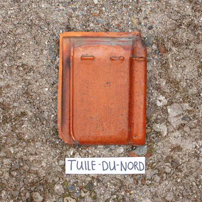 Tuile du nord dakpannen dakpan sluitpannen vogelpan